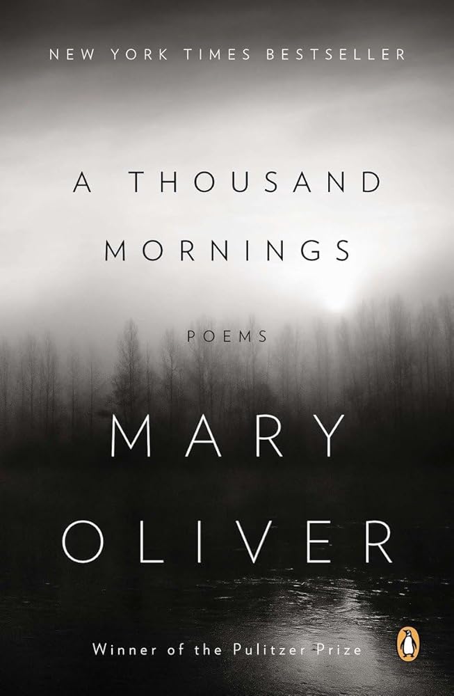 A Thousand Mornings: Poems cover image